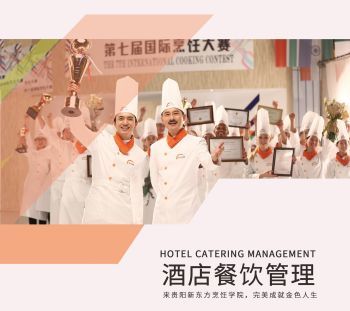 上云展網，餐飲信息咨詢產品畫冊的全新升級之旅