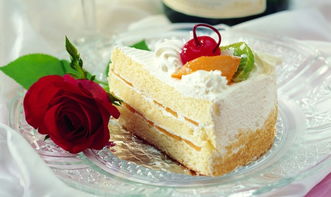 索愛(ài)烘焙產(chǎn)品介紹與最新資訊